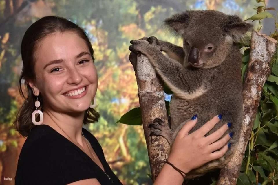 Cairns Koalas and Creatures Admission Ticket and Koala Photo Experience | Australia (183646)