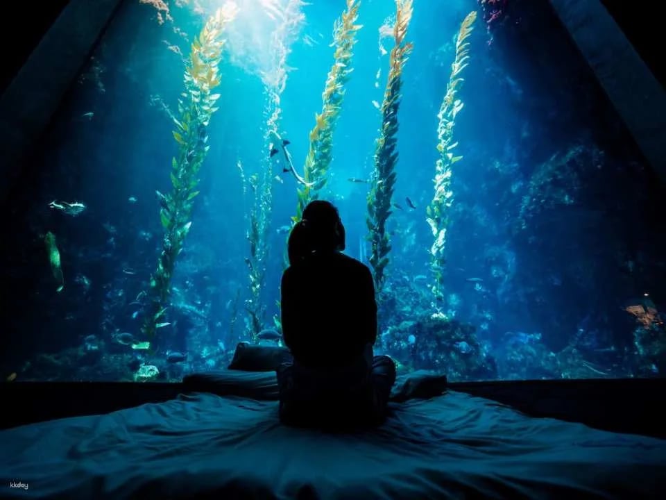 Overnight Experience at Pingtung National Museum of Marine Biology and Aquarium｜Standard and Seasonal Package Itinerary