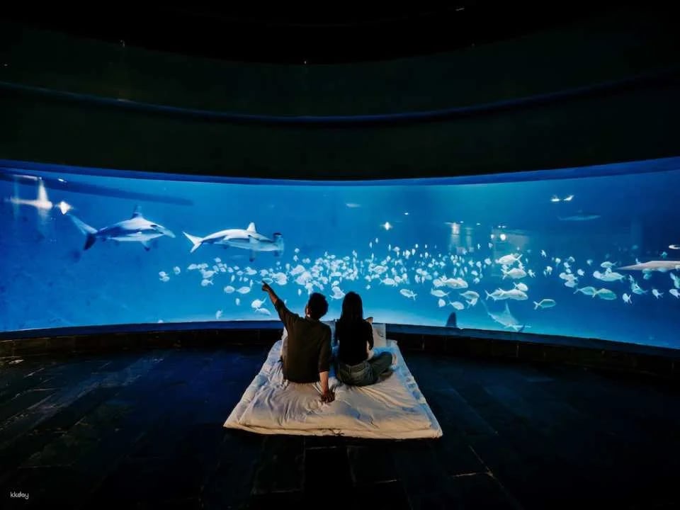 Overnight Experience at Pingtung National Museum of Marine Biology and Aquarium｜Standard and Seasonal Package Itinerary