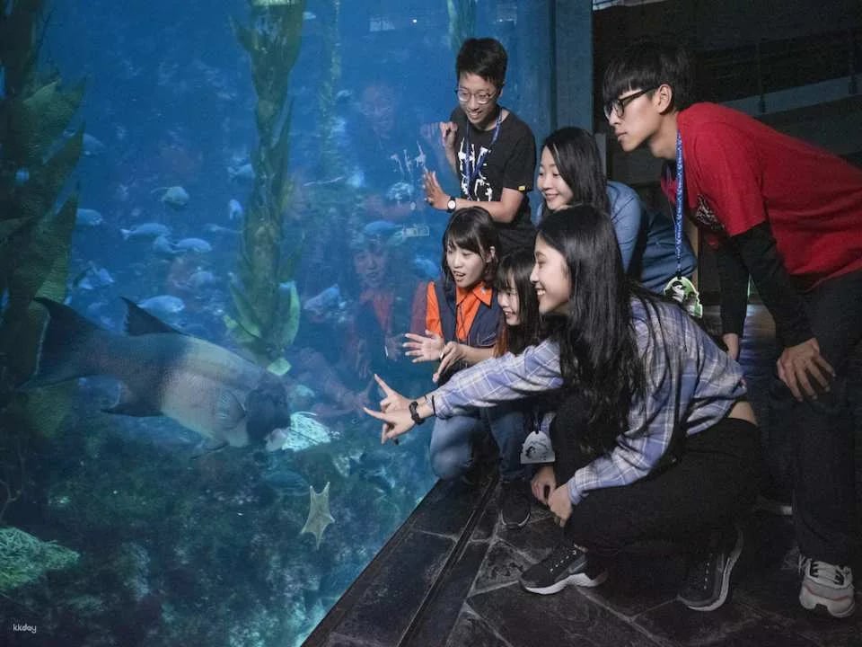 Overnight Experience at Pingtung National Museum of Marine Biology and Aquarium｜Standard and Seasonal Package Itinerary