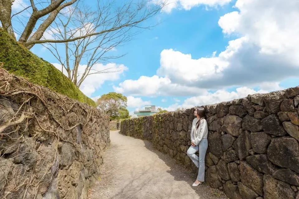 Korea Jeju Maze Land Ticket