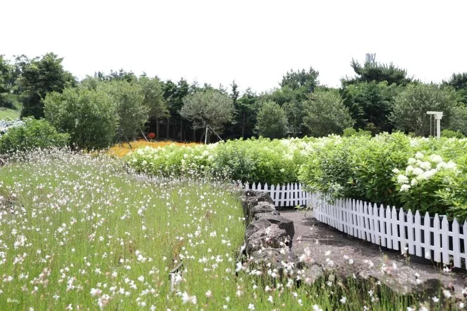 Jeju Huairi Nature Life Park Admission Ticket
