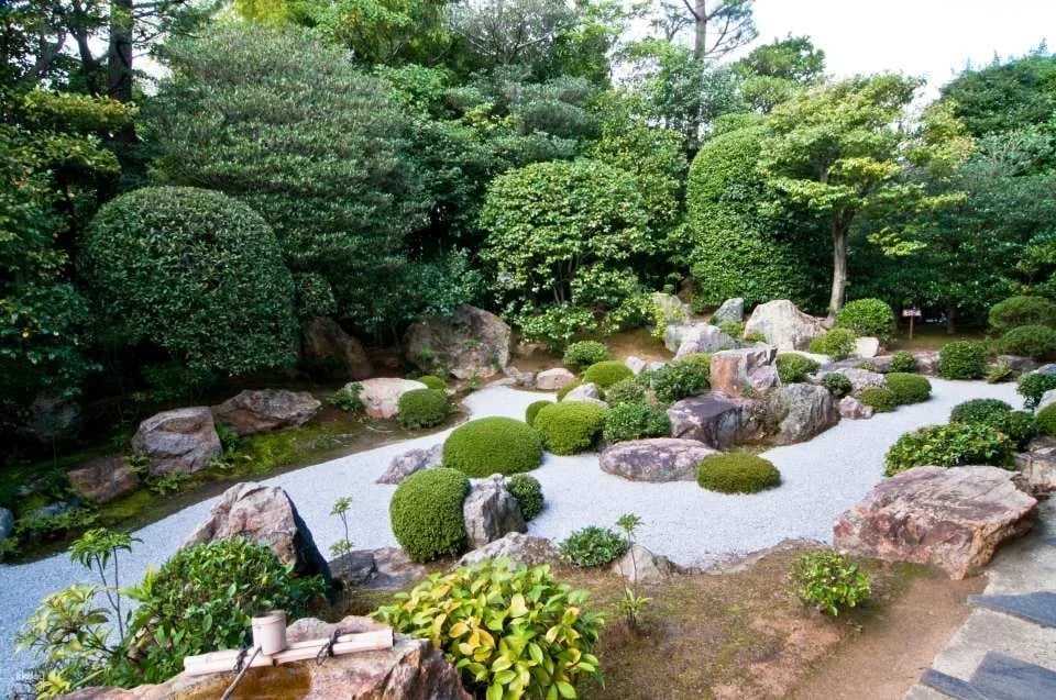 Kyoto, Japan｜Visit "Myoshinji Pagoda Taizoin" and enjoy lunch at Hanagokoro (花ごころ) Japanese restaurant