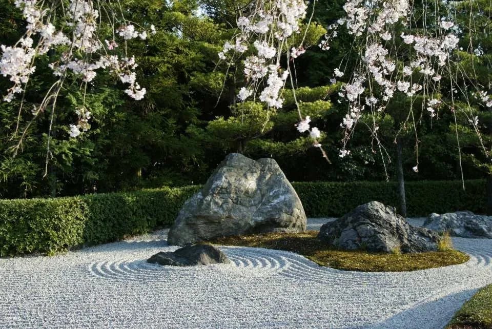 Kyoto, Japan｜Visit "Myoshinji Pagoda Taizoin" and enjoy lunch at Hanagokoro (花ごころ) Japanese restaurant