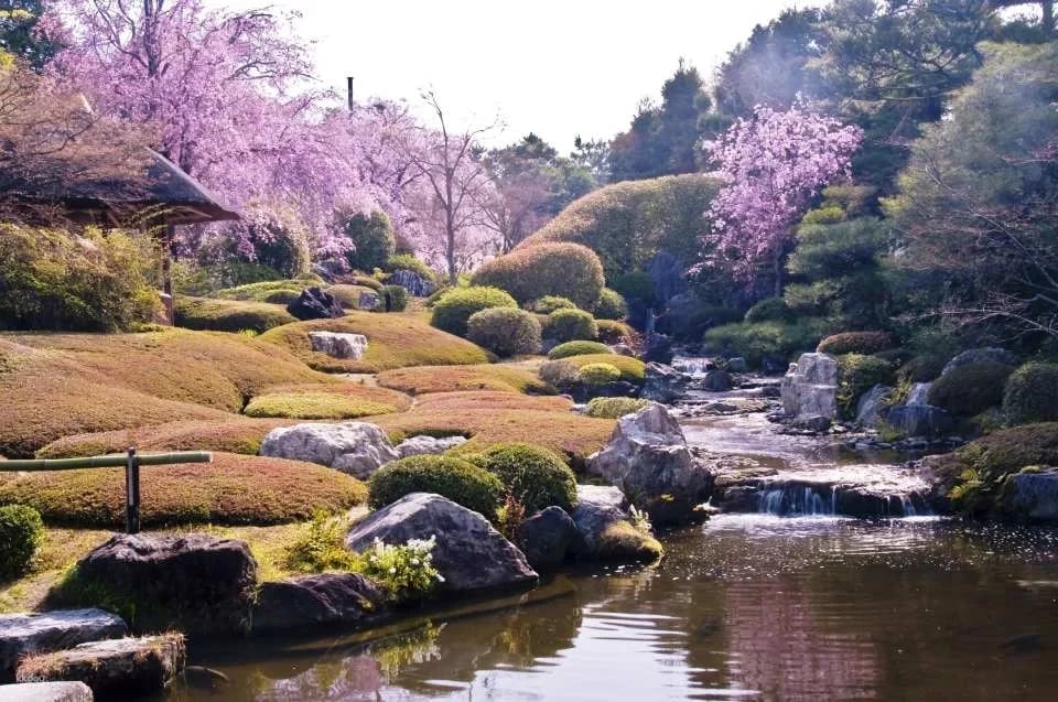 Kyoto, Japan|Visit "Myoshinji Pagoda Taizoin" and enjoy lunch at Hanagokoro (花ごころ) Japanese restaurant