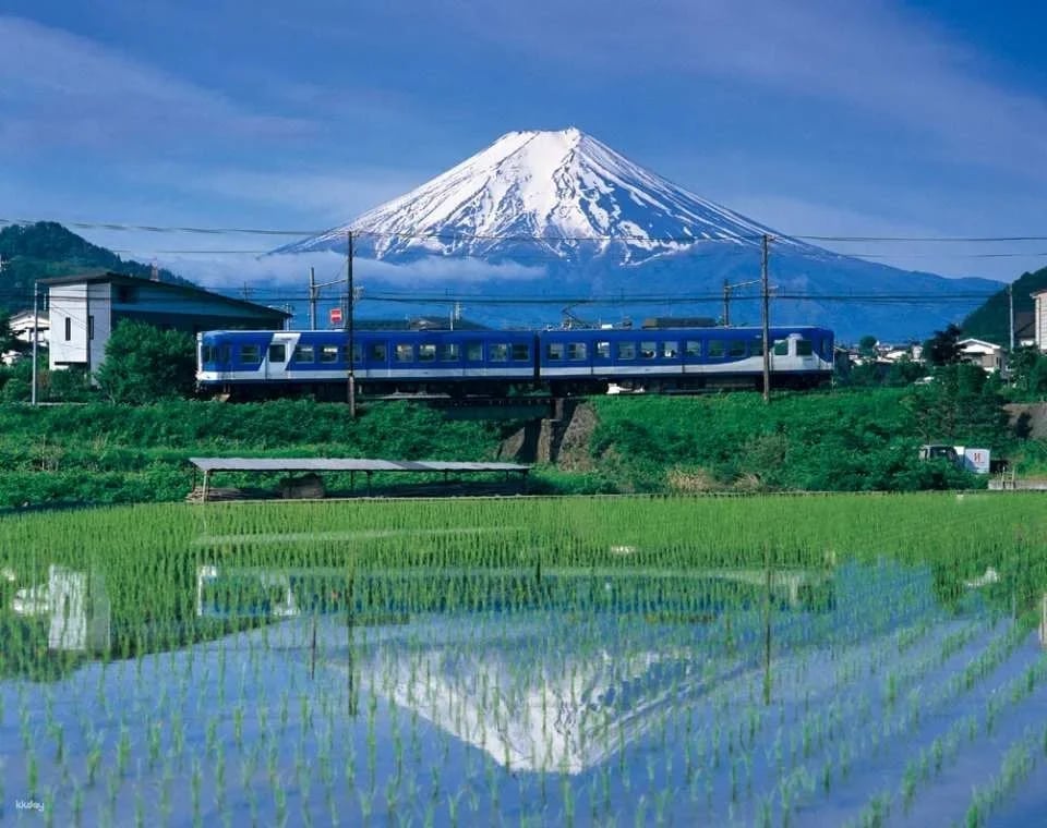 Mt. Fuji Pass (20106)