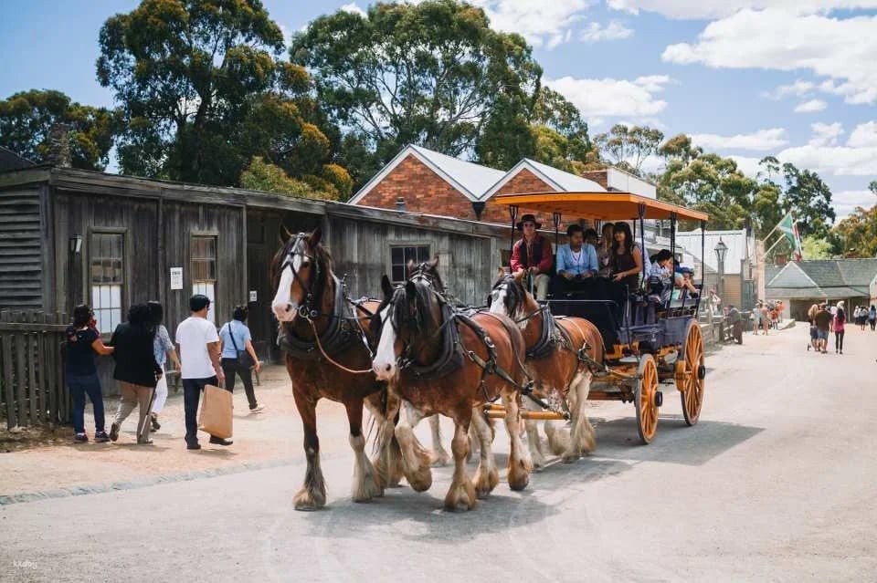 Sovereign Hill Entry Ticket｜Melbourne