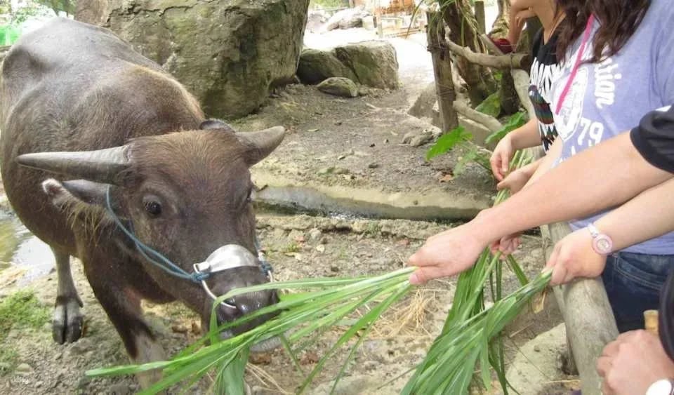 Yilan｜Toucheng Leisure Farm｜Package Tour・Handicraft Class