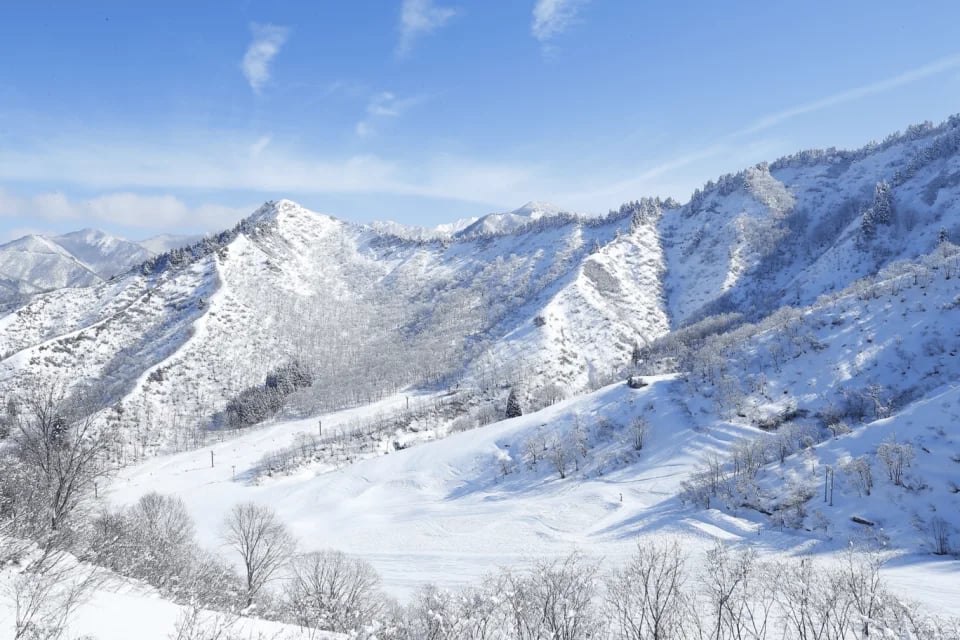 1-day/2-day lift ticket + ski equipment rental at Yuzawa-Nakasato Ski Resort (Niigata)