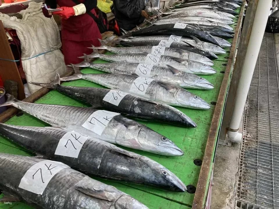 Penghu Magong Fishing Port Market Guide|There are fish every year