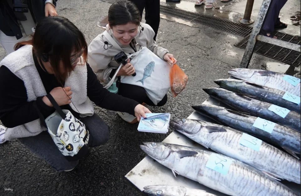 Penghu Magong Fishing Port Market Guide|There are fish every year