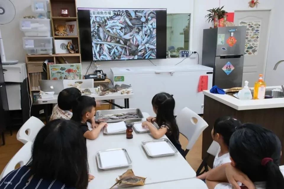 Penghu fish specimen making course｜There are mackerels every year