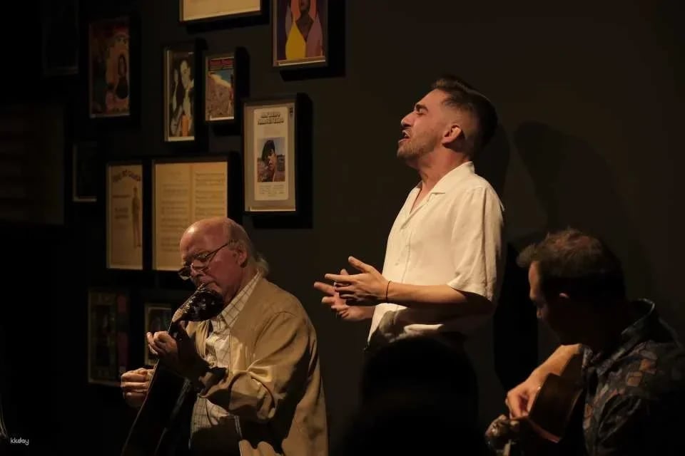 Porto Traditional Fado Concert|Portugal (265844)