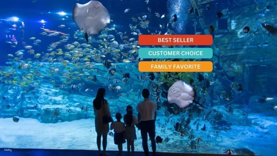 Lotte World Aquarium Ticket