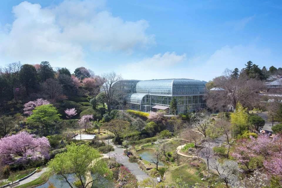 Takashi Yanase Memorial Museum & Makino Botanical Gardens - Set ticket for great value (two ticket types: general ticket, parent-child ticket)