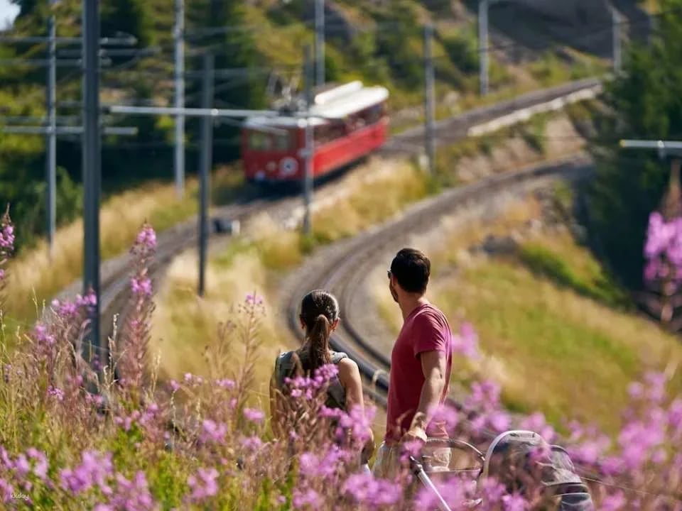 From Lucerne: Wellness Rigi Kaltbad incl. boat ticket and day pass Rigi cableways | Switzerland (286357)