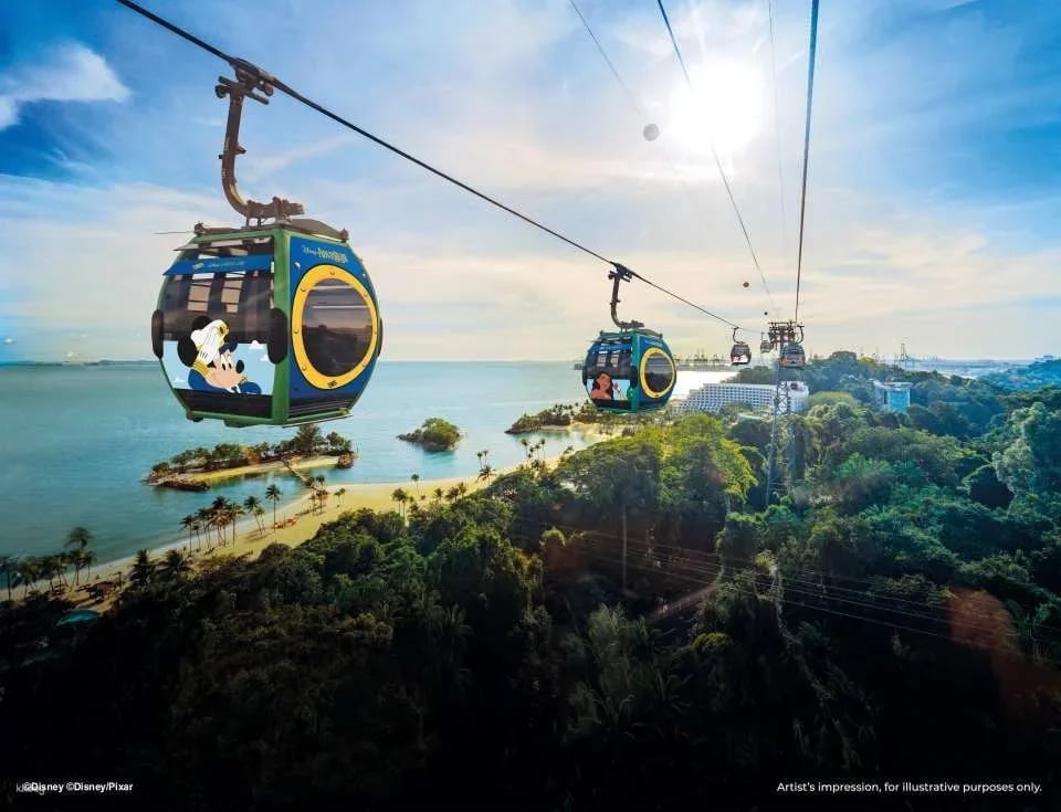 Singapore Cable Car SkyPass at Sentosa (36887)