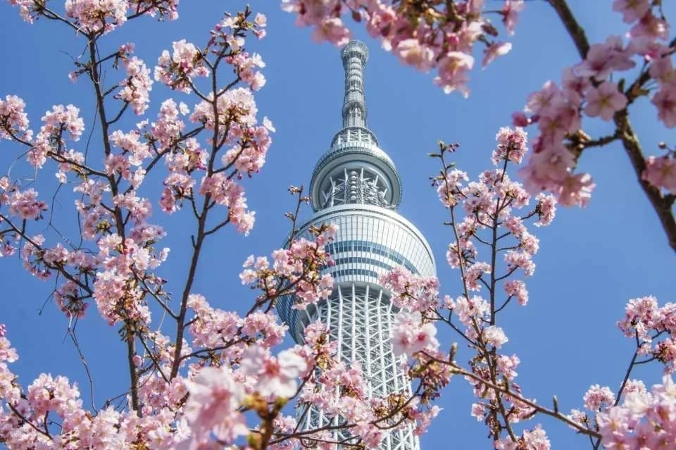Tokyo Skytree Tickets (38352)