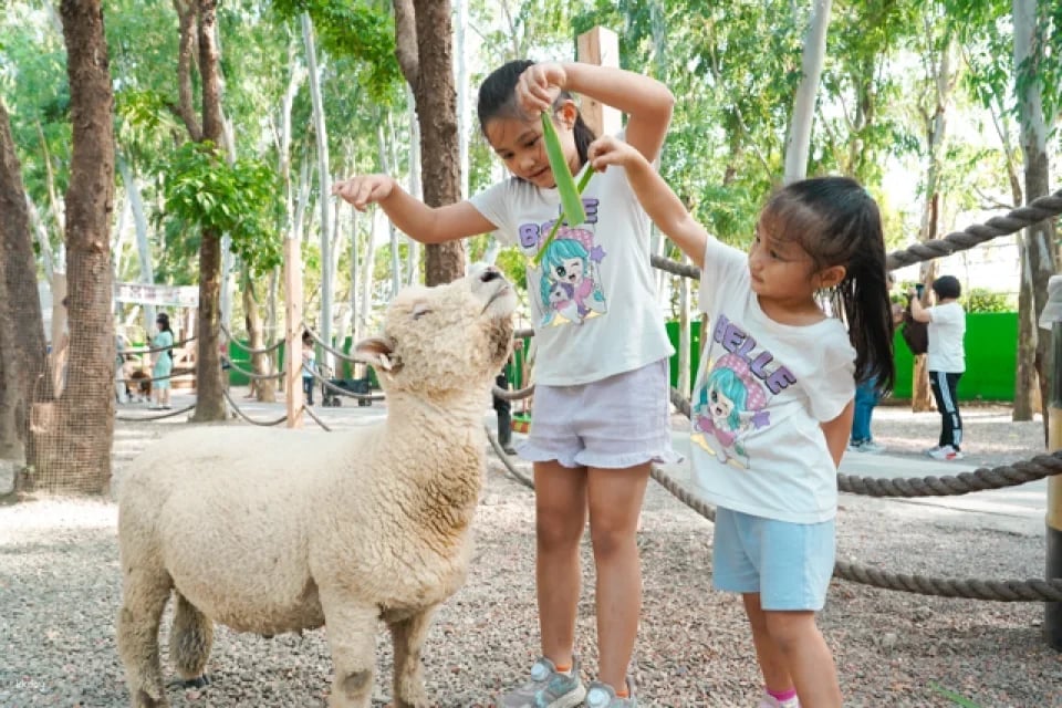 Taiwan Tourist Shuttle National Palace Museum Southern Branch | Children's Carnival