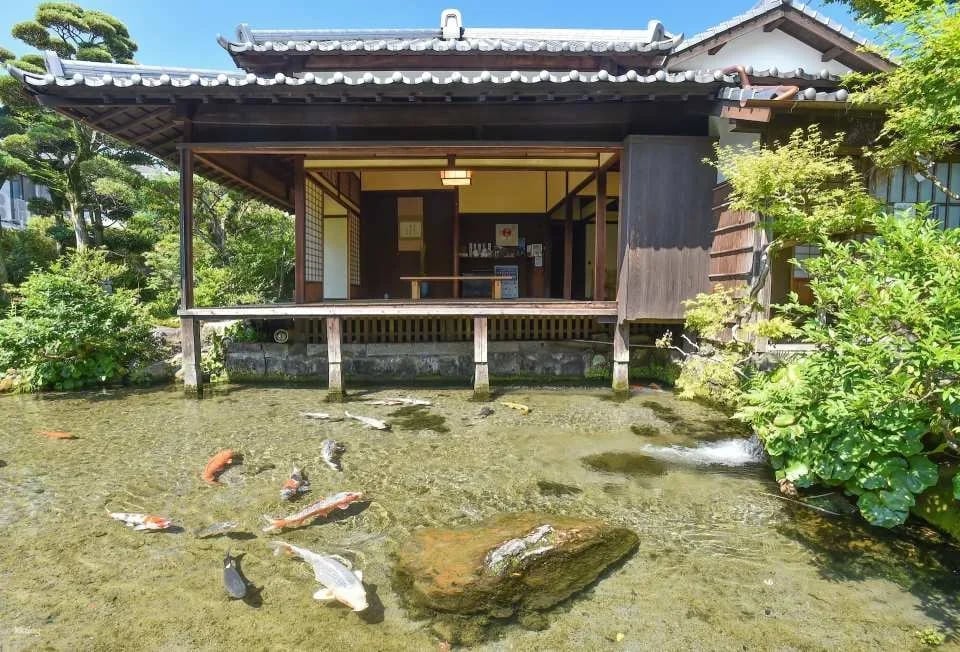 [Official Sale] Shimabara Megurin Admission Ticket (Shimabara City, Nagasaki Prefecture)