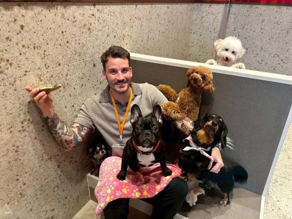 Rio Dog Cafe Interactive Experience | Shinjuku, Harajuku, Akihabara, Asakusa, Kyoto