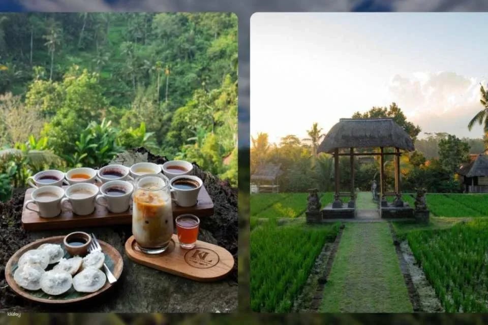 Inner Harmony: Yoga & Sound Healing Experience with Coffee Break | Bali