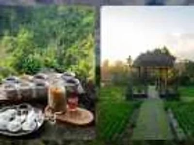 Inner Harmony: Yoga & Sound Healing Experience with Coffee Break | Bali