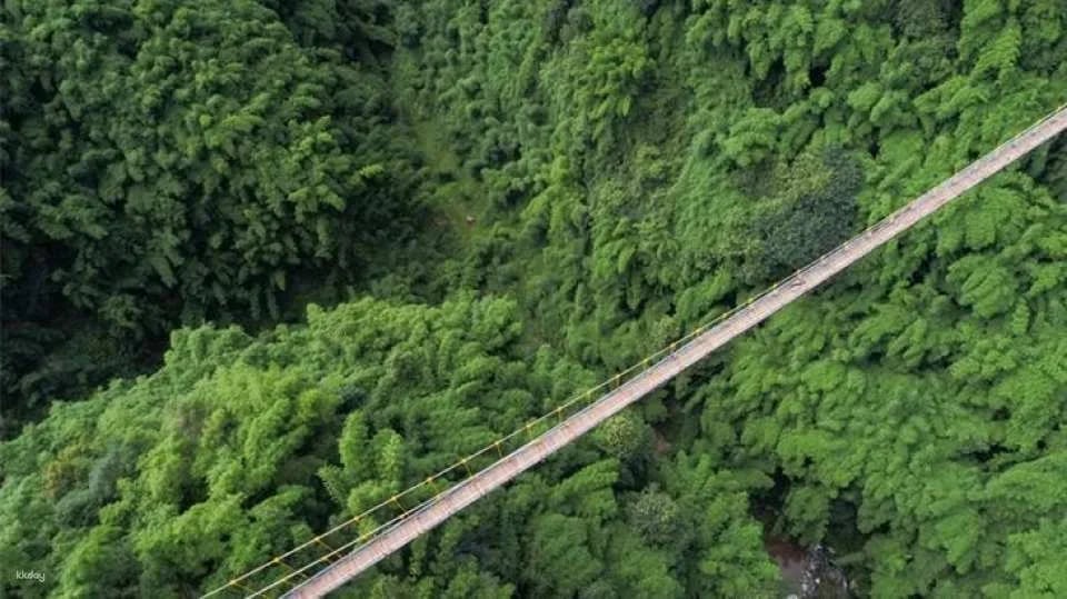 Chengdu, Sichuan | Western Sichuan Bamboo Sea Scenic Area