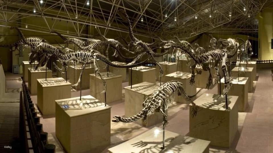 Chuxiong, Yunnan | Dinosaur Time and Space Park + Dinosaur Relics Park Adult Ticket for World Dinosaur Valley Tourist Area