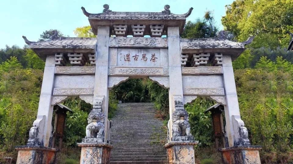 Pu'er, Yunnan | Pu'er Ancient Tea Horse Road Relics Park | Dingbo Lake Leisure Tour