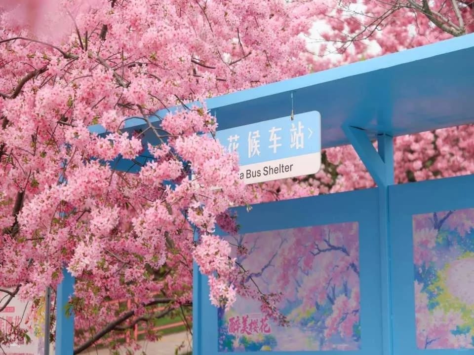 Chengdu, China | Manhua Manor (Four Seasons Flower Sea) Admission Ticket (Near Panda Base)