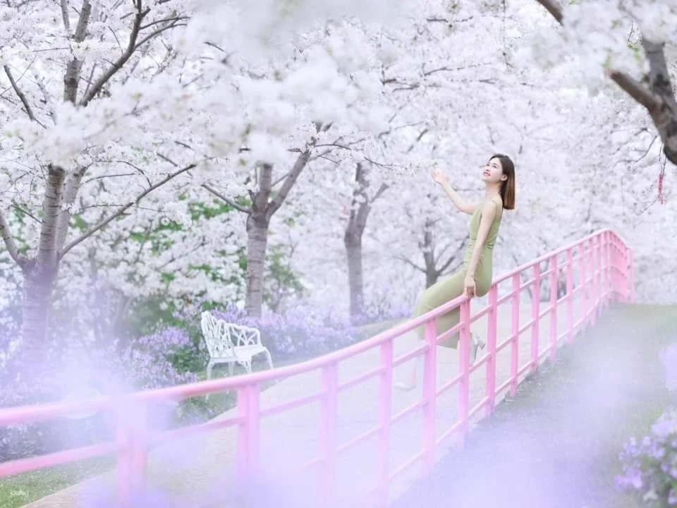 Chengdu, China | Manhua Manor (Four Seasons Flower Sea) Admission Ticket (Near Panda Base)