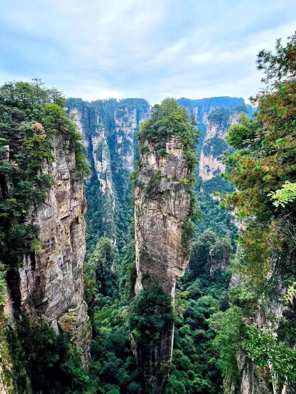 Zhangjiajie National Forest Park, Hunan
