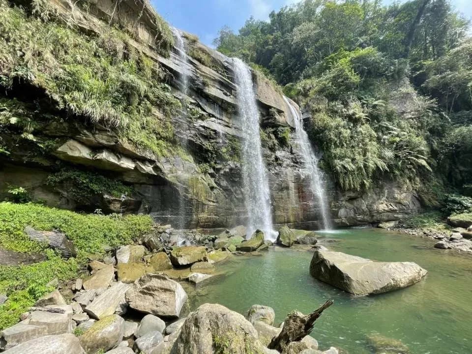 Nantou Bamboo and Deer Tour Package