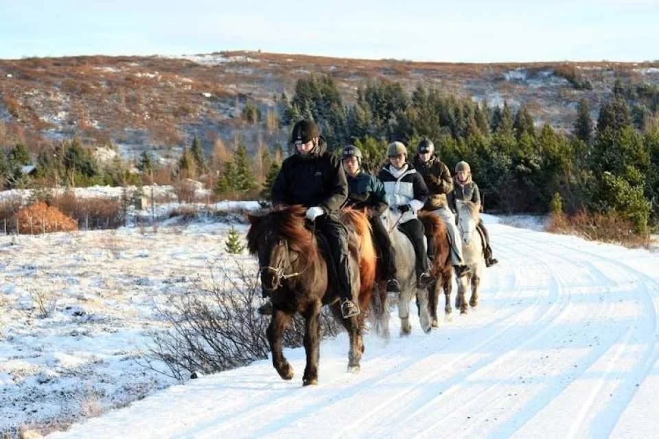 Musement Icelandic horse tour