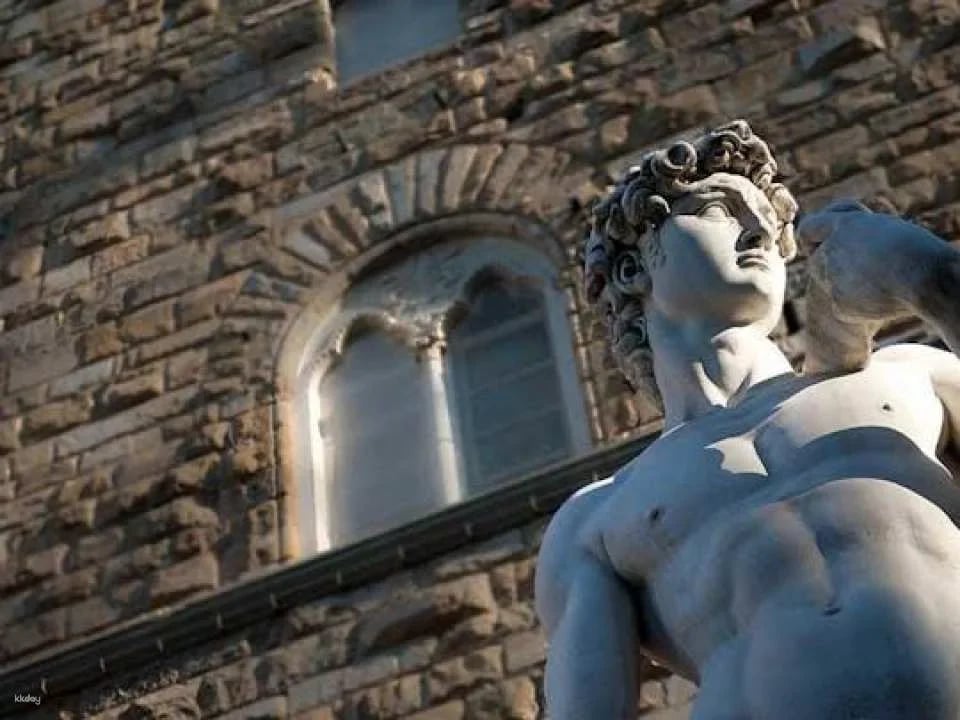 Accademia Gallery private guided tour (599082)