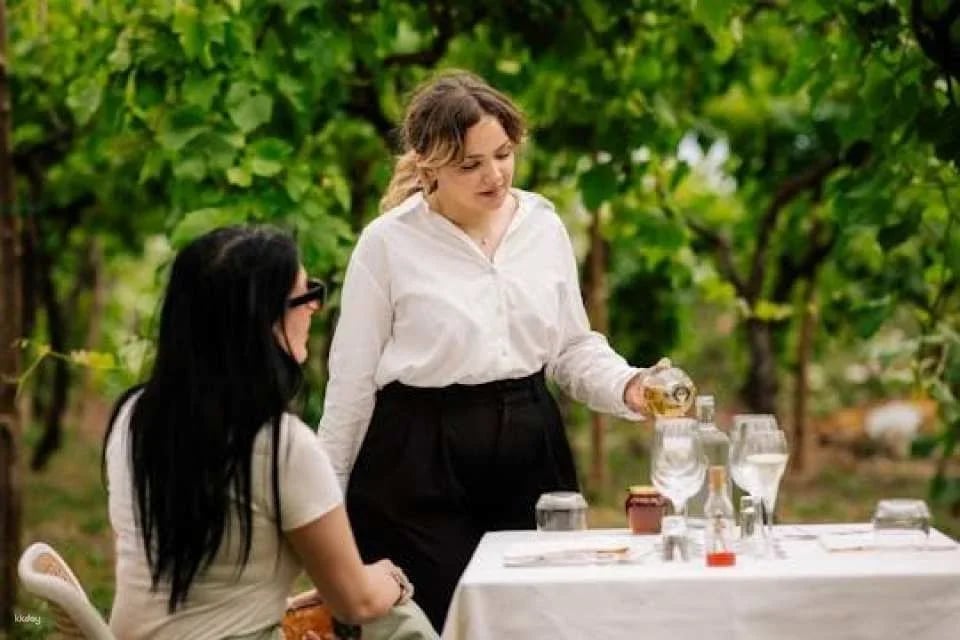 Pompeii tour with Vesuvius horse riding and wine tasting (599908)