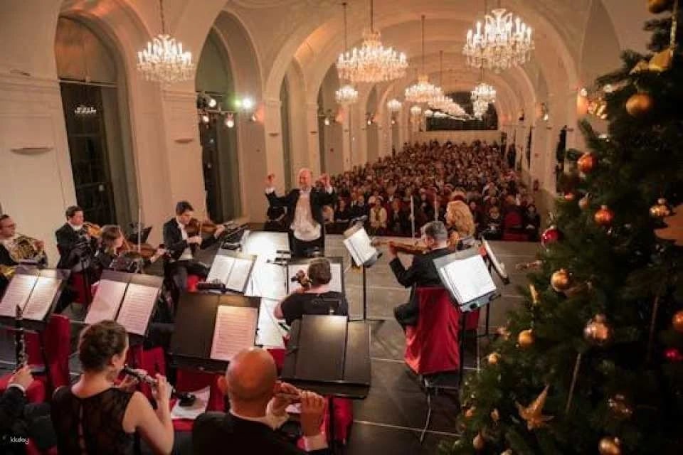 Christmas Market visit and Classical Concert at Schoenbrunn Palace (600064)