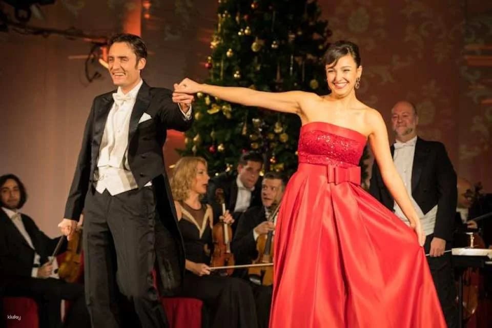 Christmas Market visit and Classical Concert at Schoenbrunn Palace