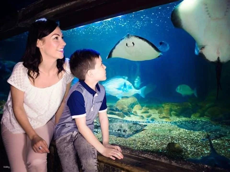 Sea Life London Aquarium tickets