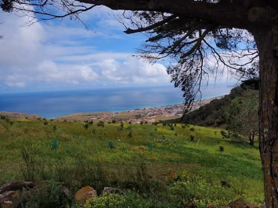 Porto Santo guided hiking tour