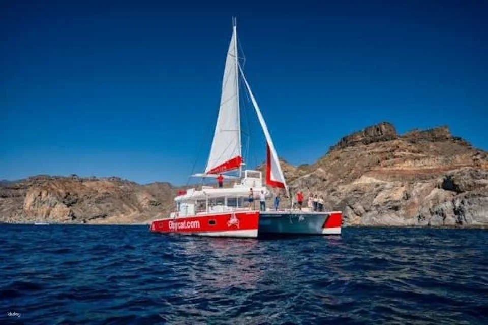 Adults-only Oby Cat cruise in Gran Canaria (600606)
