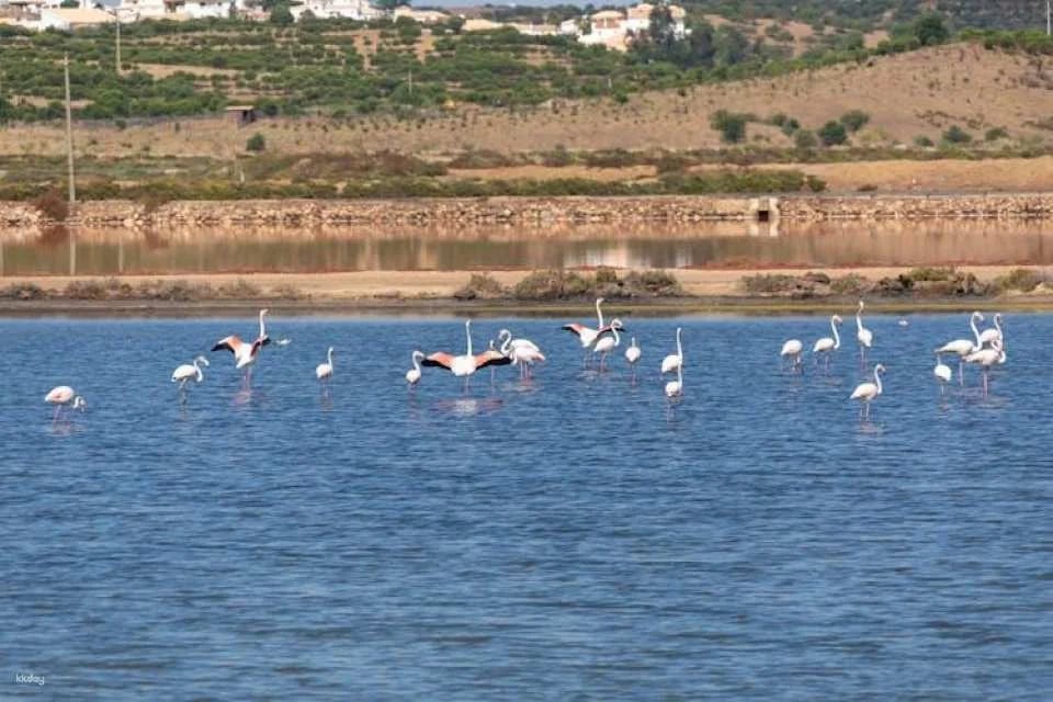 Guadiana Nature Safari Half-day Tour