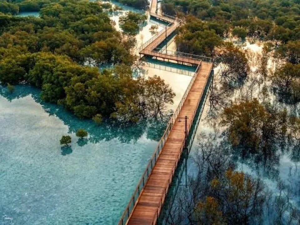 Jubail Mangrove Park private walking tour with a ranger (600945)
