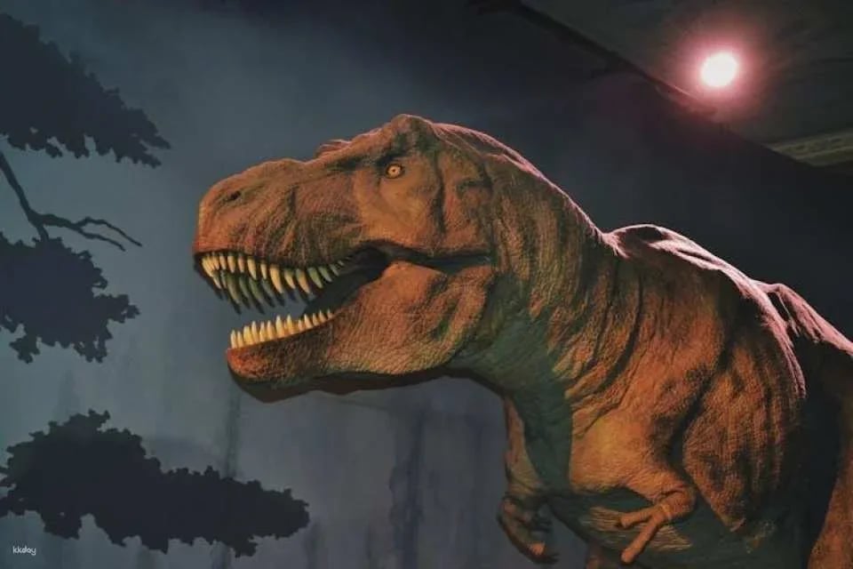 London Natural History Museum Ticket and In-App Audio Tour in French