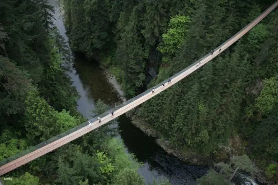 Vancouver City and Capilano Suspension Bridge tour