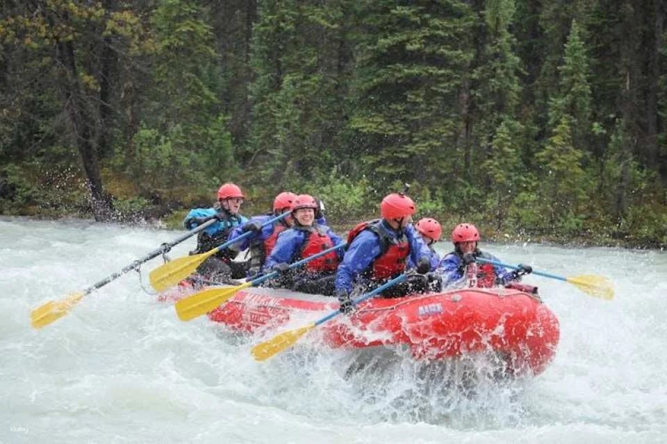 Sunwapta river's Class 3 rapids rafting