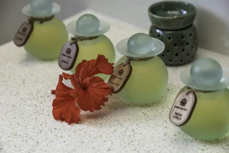 Spa Experience at Nirvanaloka Spa and Wellness Ubud