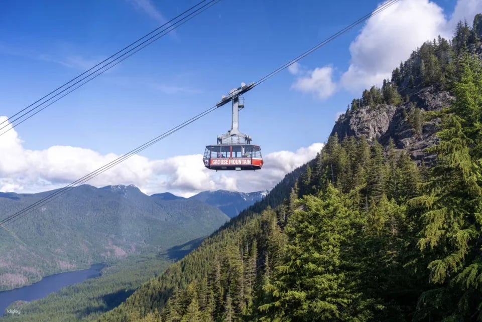 Grouse Mountain: Summer Entry Ticket + Free Downtown Shuttle | Vancouver