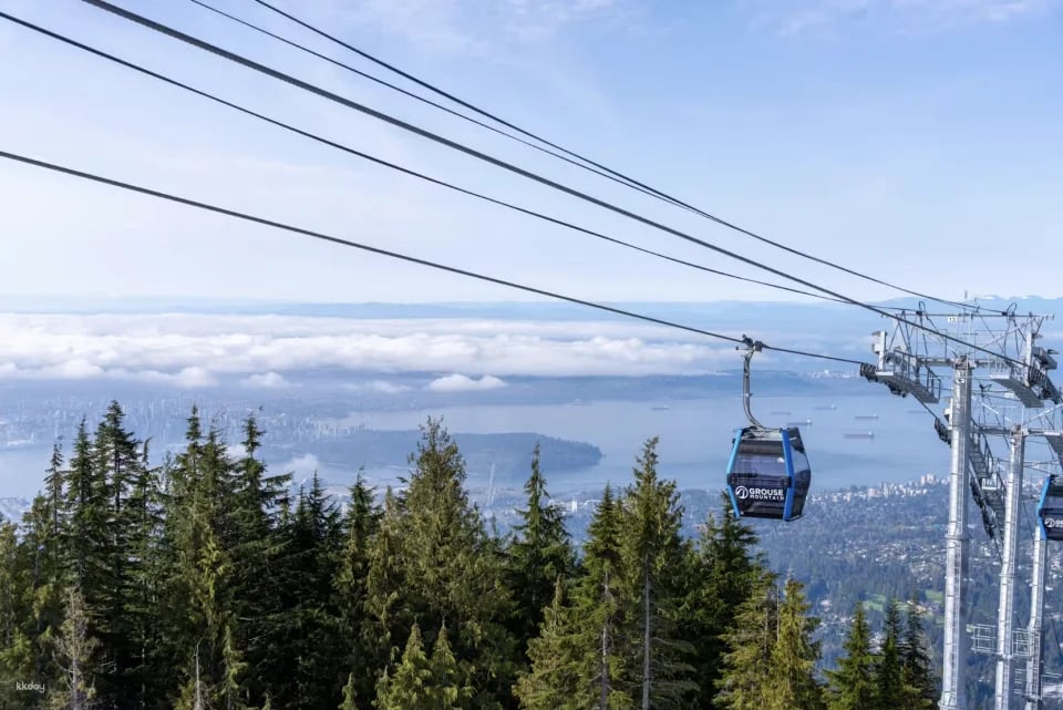 Grouse Mountain: Summer Entry Ticket + Free Downtown Shuttle | Vancouver